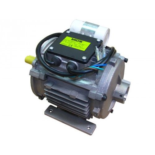 4032.702 MOTOR 2P 450W