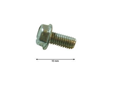 4103.529 SCREW