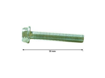 4108.536 SCREW