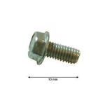 4103.529 SCREW